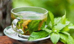 Зеленый чай в больших количествах снижает фертильность