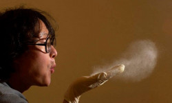 Бытовая пыль снижает IQ детей и вызывает проблемы с дыханием