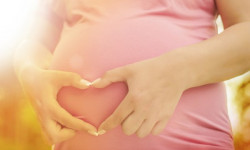 Недоедание матери угрожает преждевременным старением сердца ребенка