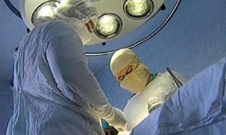 В Тюмени проведут первую операцию по пересадке почки