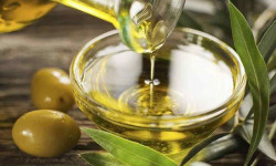 Оливковое масло защитит мозг от старения